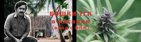 соль ск Верхний Тагил