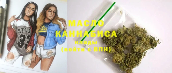 соль ск Верхний Тагил